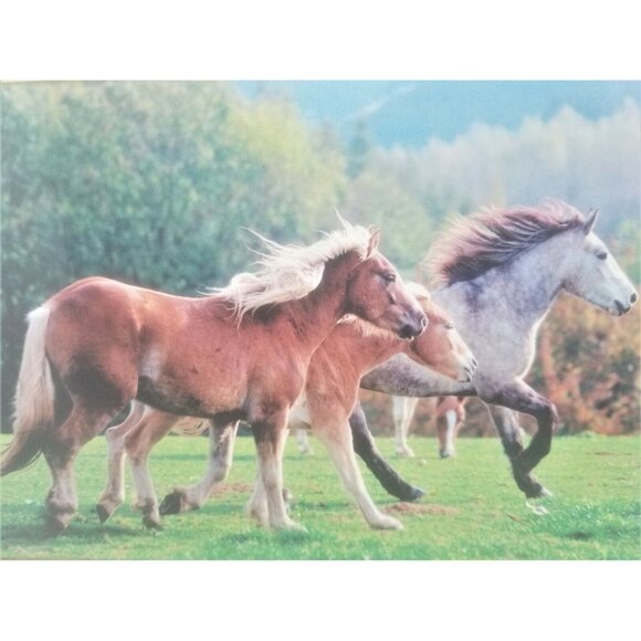 Running Horses Winning the Race Puzzlers Collection 1000 Piece Jigsaw Puzzle - Picture 1 of 6